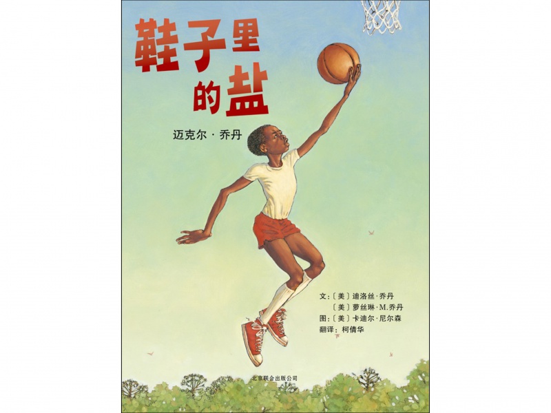 鞋子里的盐:迈克尔乔丹